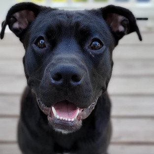 67221628_491084771640186_420009109906417