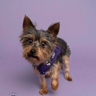 48392950_372949093453755_601037621182018